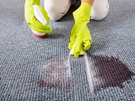 Teppich mit Waschpulver reinigen - was wirklich funktioniert
