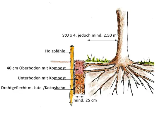 Walnussbaum-Wurzeln richtig verstehen und den Garten schützen